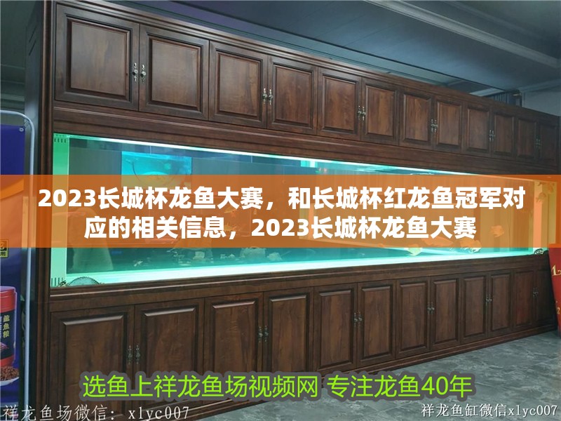 2023長城杯龍魚大賽，和長城杯紅龍魚冠軍對應的相關信息，2023長城杯龍魚大賽
