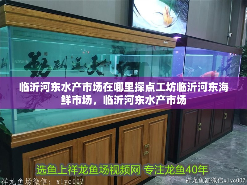 臨沂河東水產市場在哪里探點工坊臨沂河東海鮮市場，臨沂河東水產市場