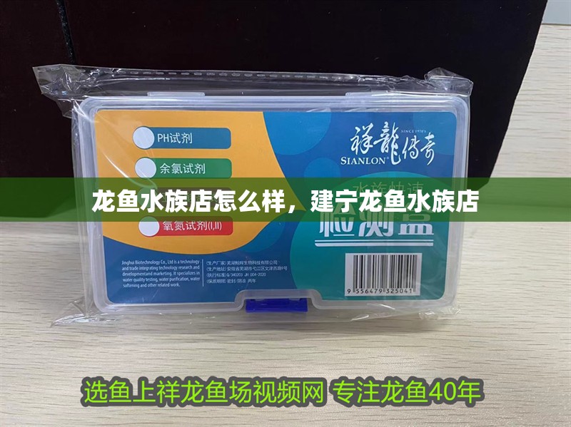 龍魚水族店怎么樣，建寧龍魚水族店