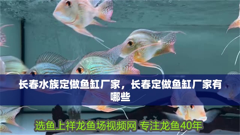 長春水族定做魚缸廠家，長春定做魚缸廠家有哪些