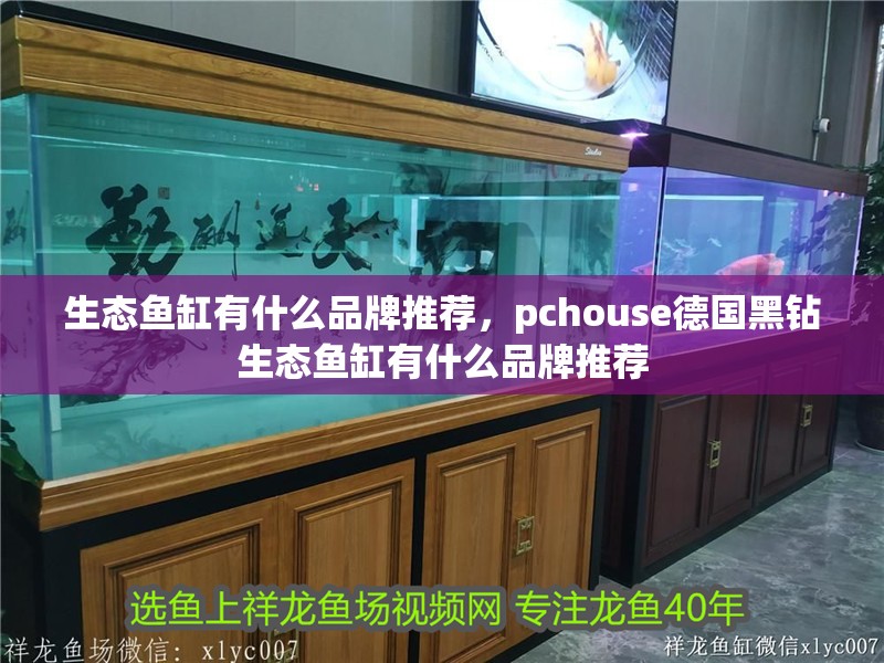 生態(tài)魚缸有什么品牌推薦，pchouse德國黑鉆生態(tài)魚缸有什么品牌推薦