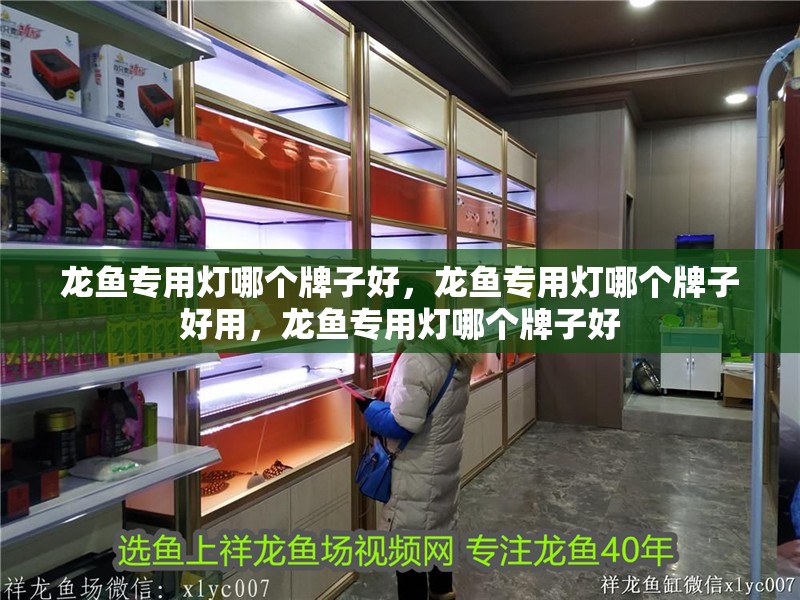 龍魚專用燈哪個牌子好，龍魚專用燈哪個牌子好用，龍魚專用燈哪個牌子好
