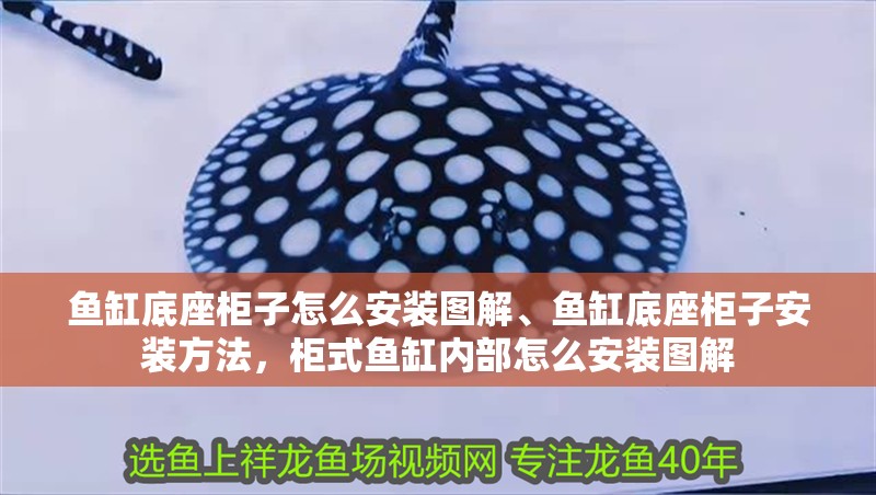 魚缸底座柜子怎么安裝圖解、魚缸底座柜子安裝方法，柜式魚缸內部怎么安裝圖解