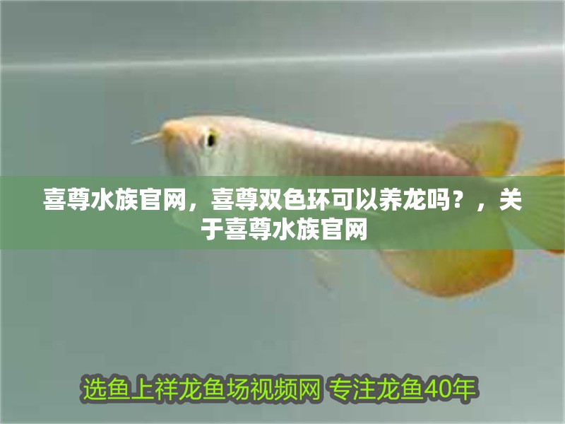 喜尊水族官網，喜尊雙色環可以養龍嗎？，關于喜尊水族官網