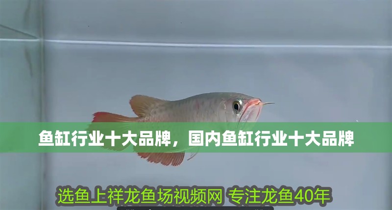 魚缸行業十大品牌，國內魚缸行業十大品牌