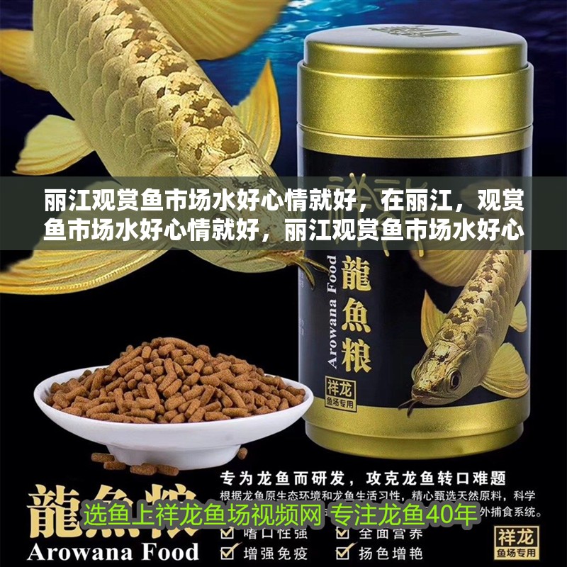 麗江觀賞魚市場水好心情就好，在麗江，觀賞魚市場水好心情就好，麗江觀賞魚市場水好心情就好，在麗江