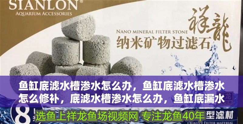 魚缸底濾水槽滲水怎么辦，魚缸底濾水槽滲水怎么修補，底濾水槽滲水怎么辦，魚缸底漏水怎么修補