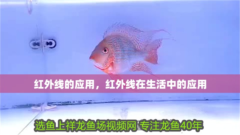 紅外線的應用，紅外線在生活中的應用