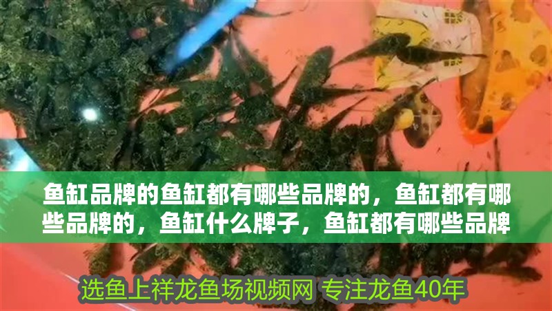 魚缸品牌的魚缸都有哪些品牌的，魚缸都有哪些品牌的，魚缸什么牌子，魚缸都有哪些品牌的