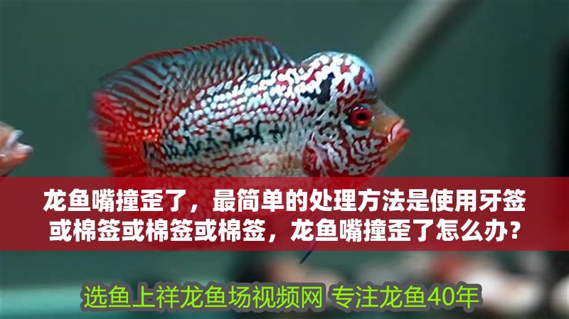 龍魚嘴撞歪了，最簡單的處理方法是使用牙簽或棉簽或棉簽或棉簽，龍魚嘴撞歪了怎么辦？