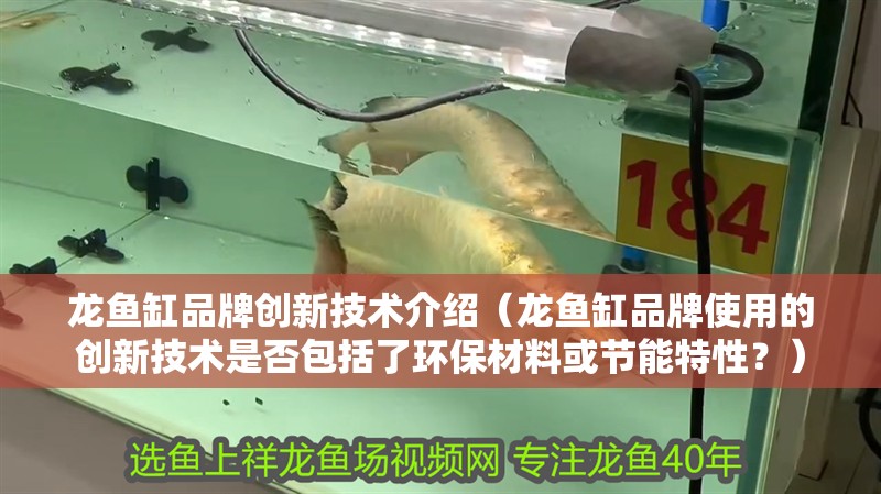 龍魚缸品牌創新技術介紹（龍魚缸品牌使用的創新技術是否包括了環保材料或節能特性？）