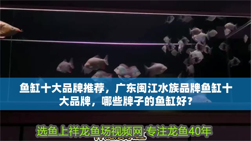 魚缸十大品牌推薦，廣東閩江水族品牌魚缸十大品牌，哪些牌子的魚缸好？