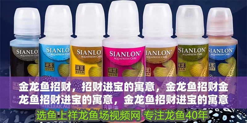 金龍魚招財，招財進寶的寓意，金龍魚招財金龍魚招財進寶的寓意，金龍魚招財進寶的寓意