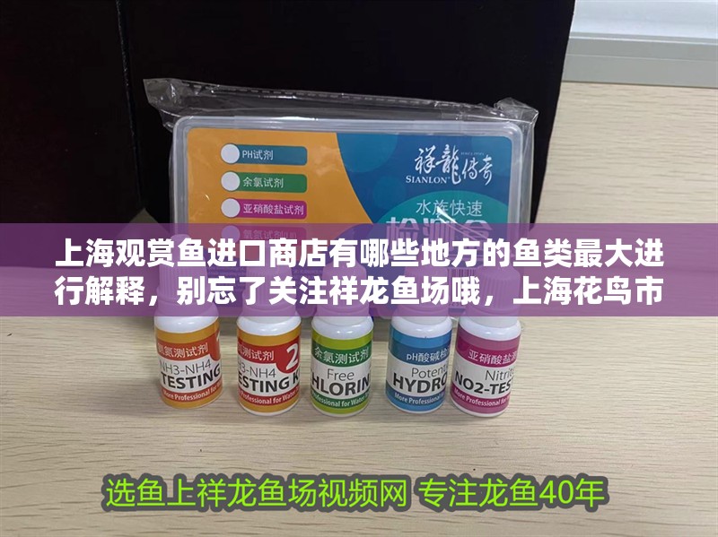 <strong><mark>上海</mark></strong>觀賞魚進口商店有哪些地方的魚類最大進行解釋，別忘了關注祥龍魚場哦，<strong><mark>上海</mark></strong>花鳥市場