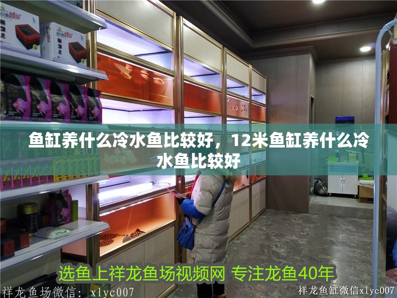 魚缸養什么冷水魚比較好，12米魚缸養什么冷水魚比較好 魚缸養什么冷水魚比較好，12米魚缸養什么冷水魚比較好 觀賞魚百科 第2張