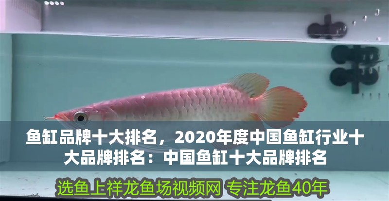 魚(yú)缸品牌十大排名，2020年度中國(guó)魚(yú)缸行業(yè)十大品牌排名：中國(guó)魚(yú)缸十大品牌排名