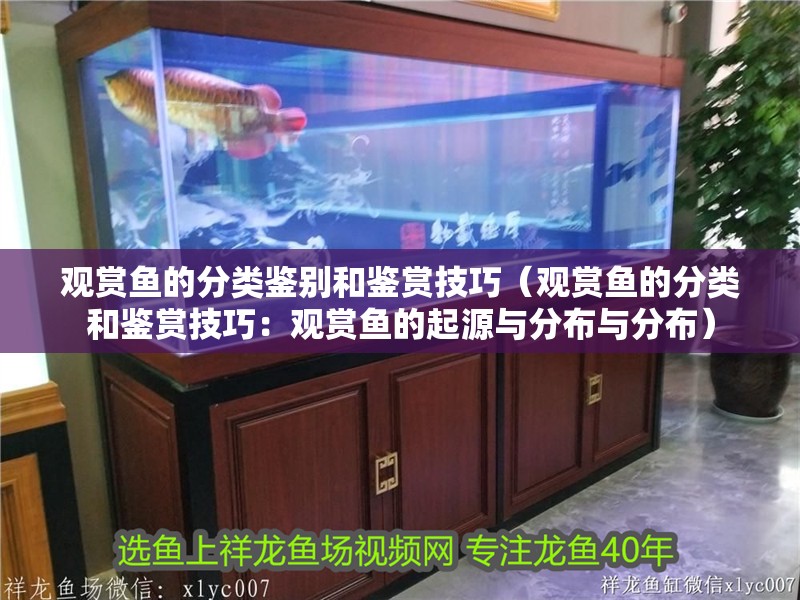 觀賞魚的分類鑒別和鑒賞技巧（觀賞魚的分類和鑒賞技巧：觀賞魚的起源與分布與分布）