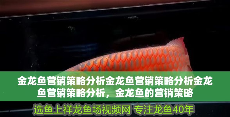 金龍魚營銷策略分析金龍魚營銷策略分析金龍魚營銷策略分析，金龍魚的營銷策略