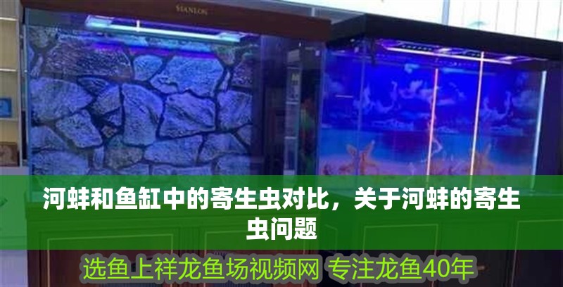 河蚌和魚缸中的寄生蟲對比，關于河蚌的寄生蟲問題