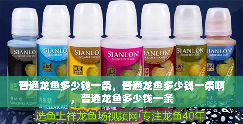 普通龍魚多少錢一條，普通龍魚多少錢一條啊，普通龍魚多少錢一條
