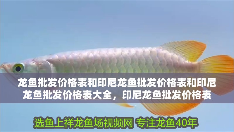 龍魚批發價格表和印尼龍魚批發價格表和印尼龍魚批發價格表大全，印尼龍魚批發價格表