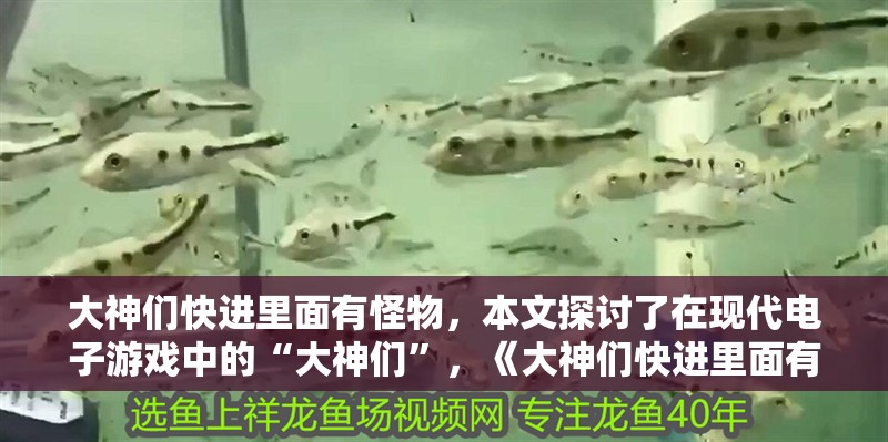 大神們快進里面有怪物，本文探討了在現代電子游戲中的“大神們”，《大神們快進里面有怪物》