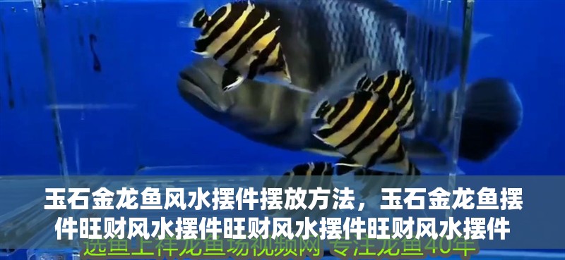 玉石金龍魚風(fēng)水?dāng)[件擺放方法，玉石金龍魚擺件旺財(cái)風(fēng)水?dāng)[件旺財(cái)風(fēng)水?dāng)[件旺財(cái)風(fēng)水?dāng)[件