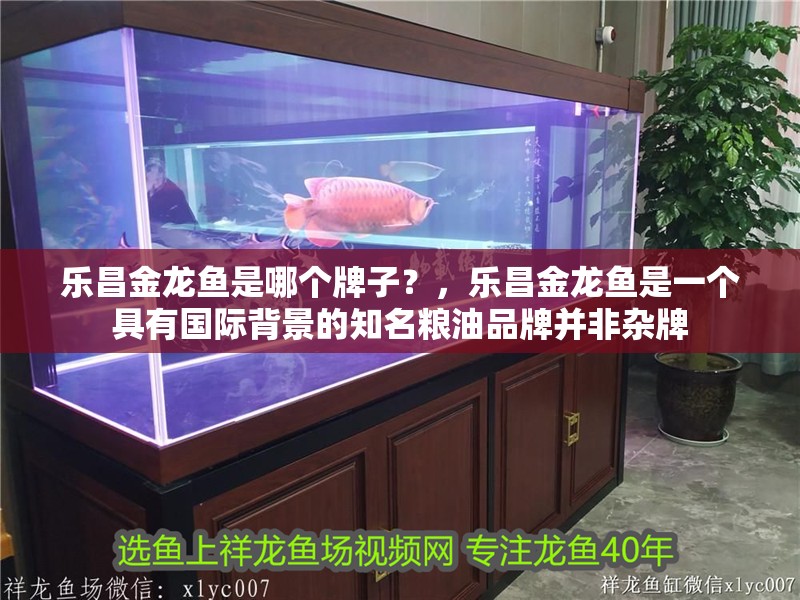 樂昌金龍魚是哪個牌子？，樂昌金龍魚是一個具有國際背景的知名糧油品牌并非雜牌