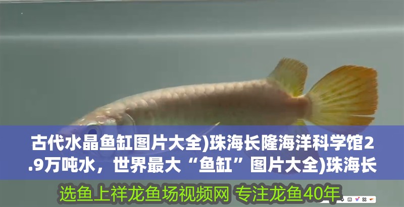 古代水晶魚(yú)缸圖片大全)珠海長(zhǎng)隆海洋科學(xué)館2.9萬(wàn)噸水，世界最大“魚(yú)缸”圖片大全)珠海長(zhǎng)隆海洋王國(guó)戳下方水族圈歷史文章