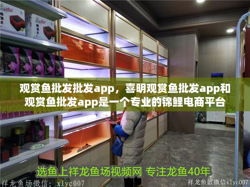 觀賞魚批發批發app，喜明觀賞魚批發app和觀賞魚批發app是一個專業的錦鯉電商平臺