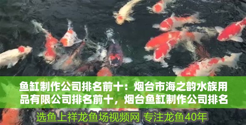 魚缸制作公司排名前十：煙臺市海之韻水族用品有限公司排名前十，煙臺魚缸制作公司排名