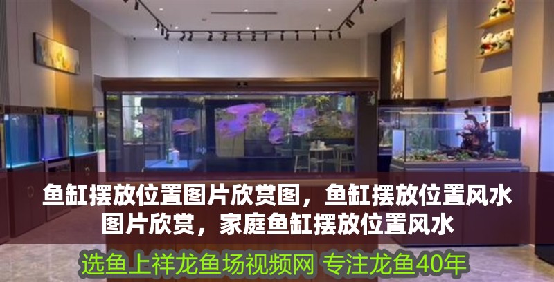 魚缸擺放位置圖片欣賞圖，魚缸擺放位置風(fēng)水圖片欣賞，家庭魚缸擺放位置風(fēng)水