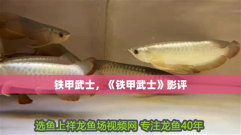 鐵甲武士，《鐵甲武士》影評