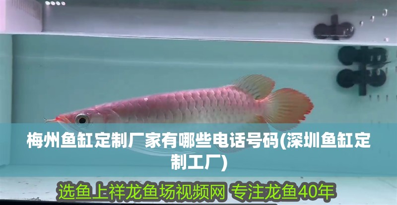 梅州魚缸定制廠家有哪些電話號(hào)碼(深圳魚缸定制工廠)