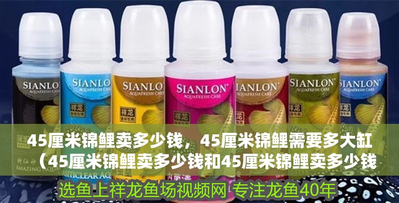 45厘米錦鯉賣多少錢，45厘米錦鯉需要多大缸（45厘米錦鯉賣多少錢和45厘米錦鯉賣多少錢一條）