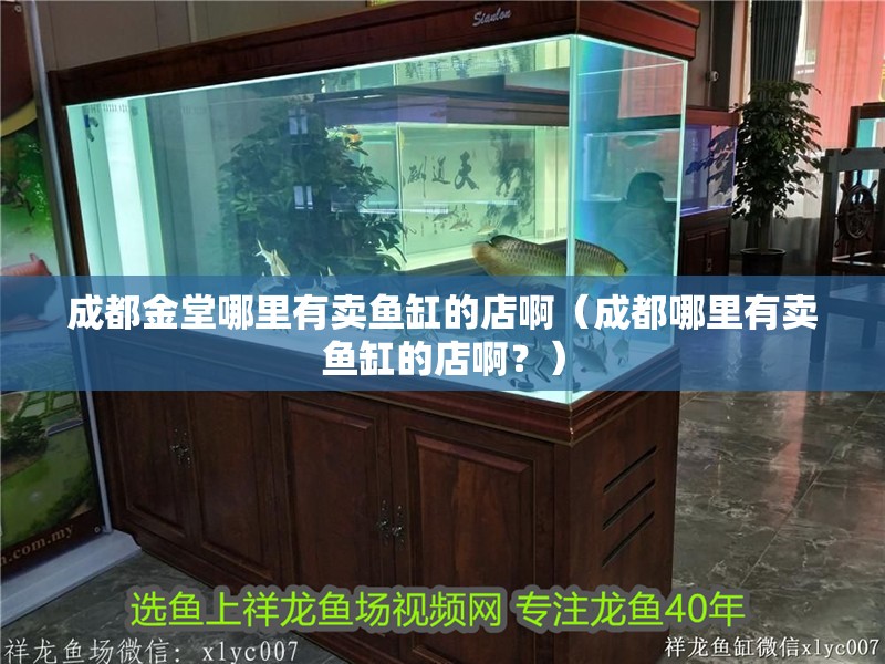成都金堂哪里有賣魚缸的店啊（成都哪里有賣魚缸的店啊？）