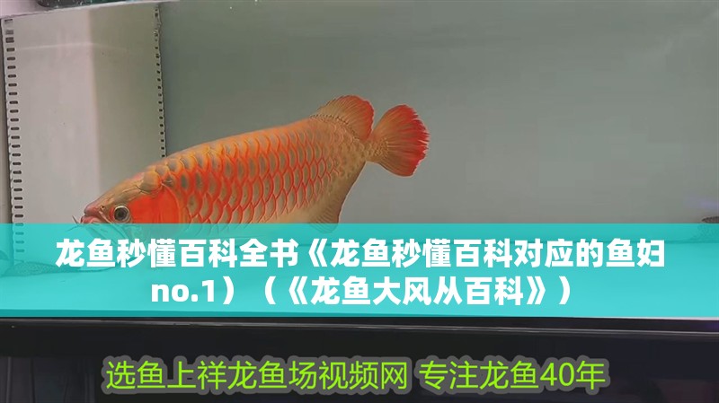 龍魚秒懂百科全書《龍魚秒懂百科對應的魚婦no.1）（《龍魚大風從百科》）