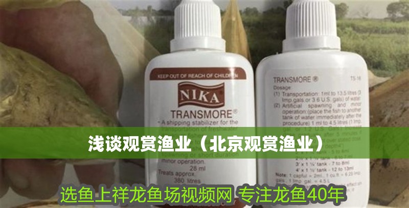 淺談觀賞漁業（北京觀賞漁業）