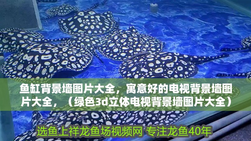 魚缸背景墻圖片大全，寓意好的電視背景墻圖片大全，（綠色3d立體電視背景墻圖片大全）