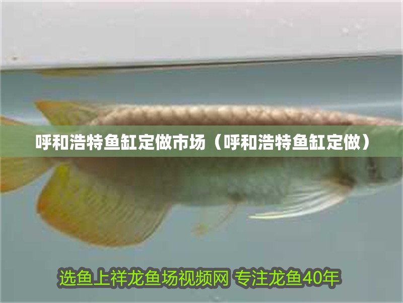 呼和浩特魚缸定做市場（呼和浩特魚缸定做）
