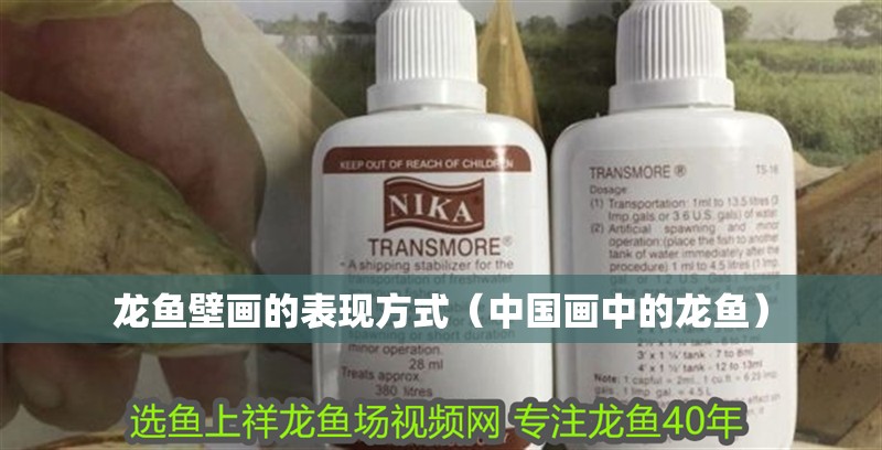 龍魚壁畫的表現方式（中國畫中的龍魚）