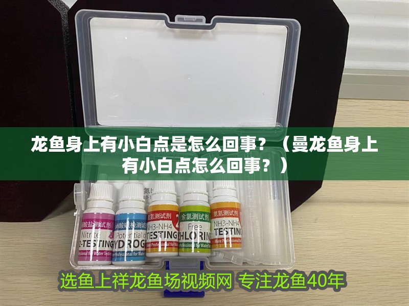 龍魚身上有小白點是怎么回事？（曼龍魚身上有小白點怎么回事？）