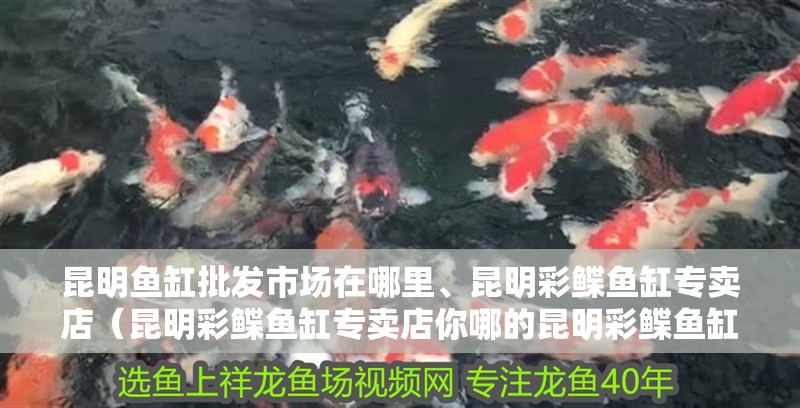 昆明魚缸批發市場在哪里、昆明彩鰈魚缸專賣店（昆明彩鰈魚缸專賣店你哪的昆明彩鰈魚缸專賣店）