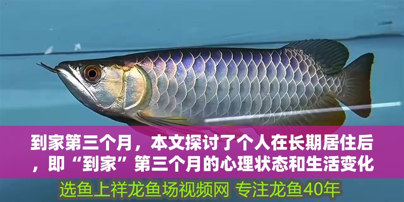 到家第三個月，本文探討了個人在長期居住后，即“到家”第三個月的心理狀態(tài)和生活變化（到家三個月）