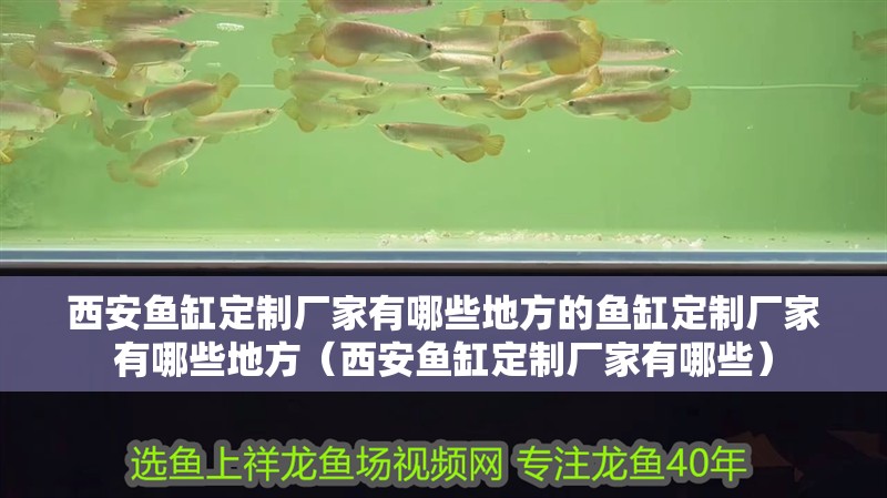 西安魚缸定制廠家有哪些地方的魚缸定制廠家有哪些地方（西安魚缸定制廠家有哪些）