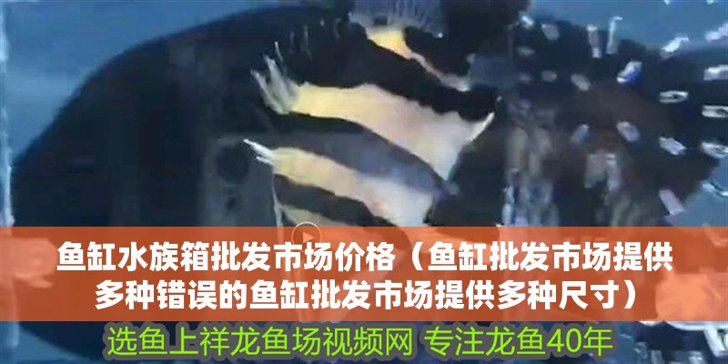 魚缸水族箱批發(fā)市場價(jià)格（魚缸批發(fā)市場提供多種錯(cuò)誤的魚缸批發(fā)市場提供多種尺寸）
