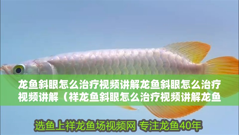 龍魚斜眼怎么治療視頻講解龍魚斜眼怎么治療視頻講解（祥龍魚斜眼怎么治療視頻講解龍魚斜眼怎么治療視頻講解）