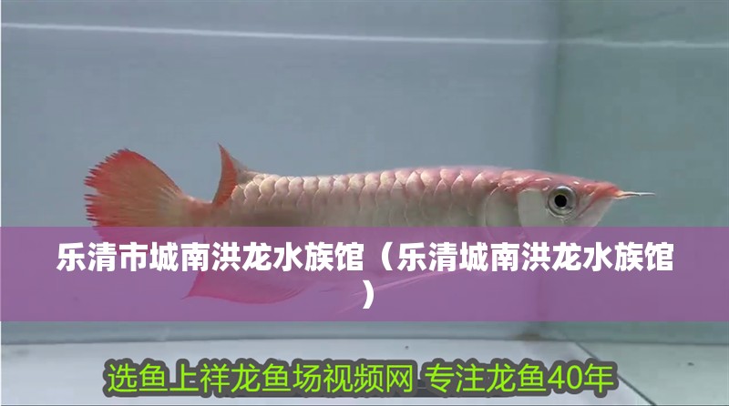 樂清市城南洪龍水族館（樂清城南洪龍水族館）