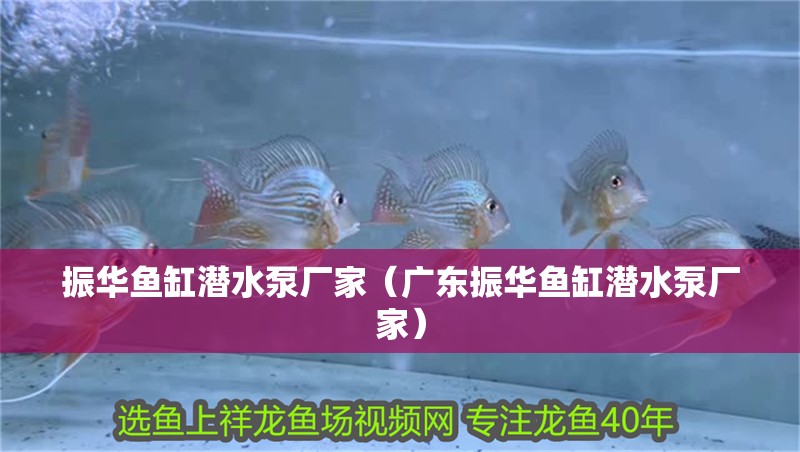 振華魚缸潛水泵廠家（廣東振華魚缸潛水泵廠家）