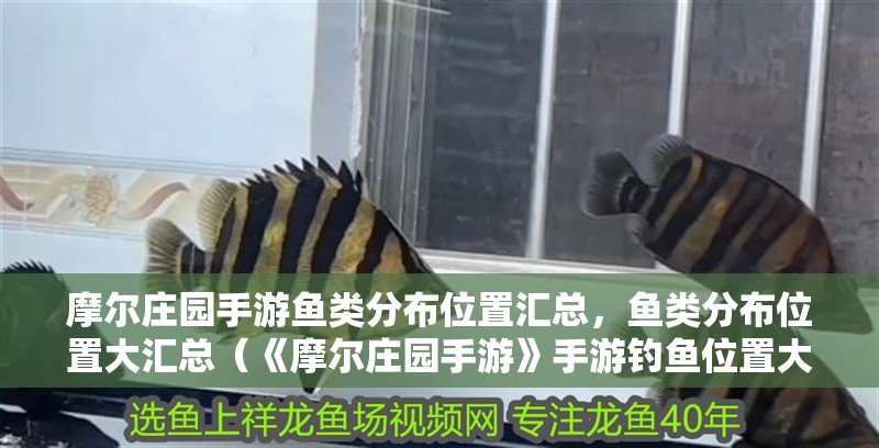 摩爾莊園手游魚類分布位置匯總，魚類分布位置大匯總（《摩爾莊園手游》手游釣魚位置大全）